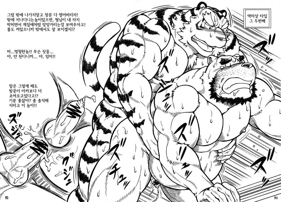 [Jamboree! (jin)] Ootora | (Big Tiger) 오오토라 [Korean] - Page 13