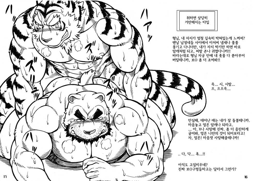 [Jamboree! (jin)] Ootora | (Big Tiger) 오오토라 [Korean] - Page 14