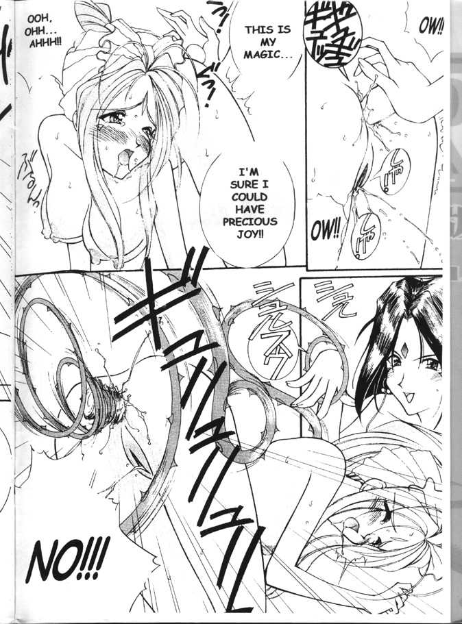 (C55) [LUCK&PLUCK!Co. (Amanomiya Haruka)] Warau Inu no Seikatsu (Ah! My Goddess) [English] - Page 12