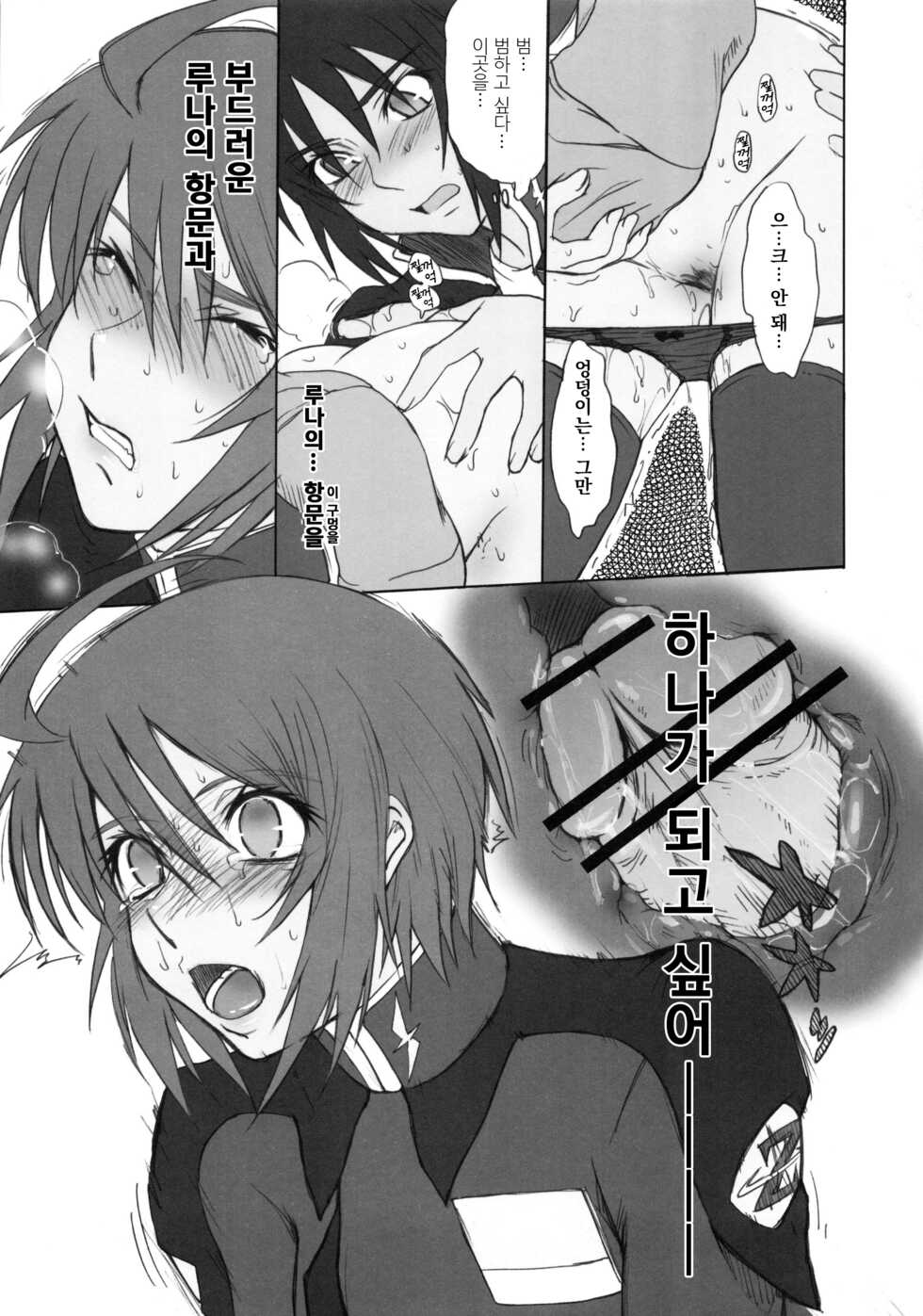 (C68) [MOON RULER (Tsukino Jyogi)] Crimson Tide (Kidou Senshi Gundam SEED DESTINY) [Korean] - Page 10