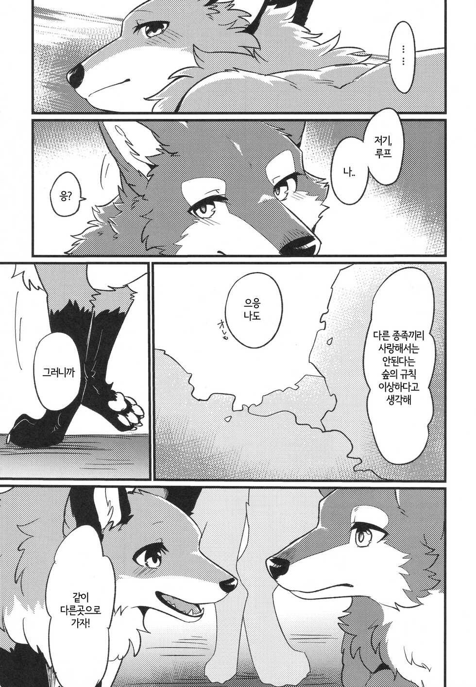 (Kemoket 12) [D-Point! (Diga Tsukune)] IN THE FOREST [Korean] - Page 15
