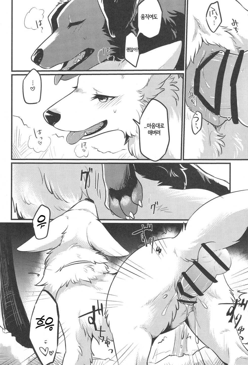 (Kemoket 11) [Kaiten ParaDOGs (Minaga Tsukune)] Hakoniwa Jealousy | 모형 정원 질투 [Korean] - Page 17