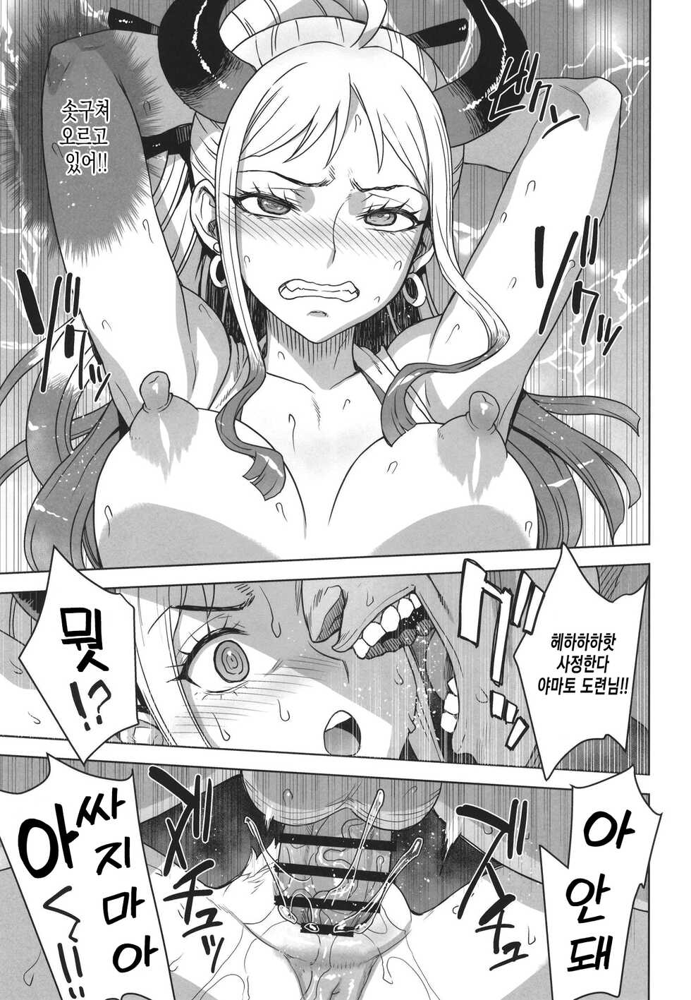 [Choujikuu Yousai Kachuusha (Denki Shougun)] Yamato no Ura Nisshi | 야마토의 이면일지 (One Piece) [Korean] [Digital] - Page 17