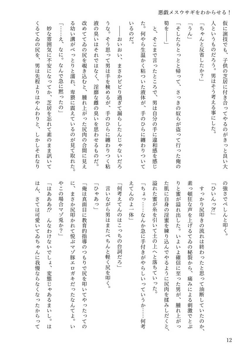 [Chinchintei (chin)] [C101 new issue] Touhou R-18 novel "Understand mischievous female rabbits!" - Page 8