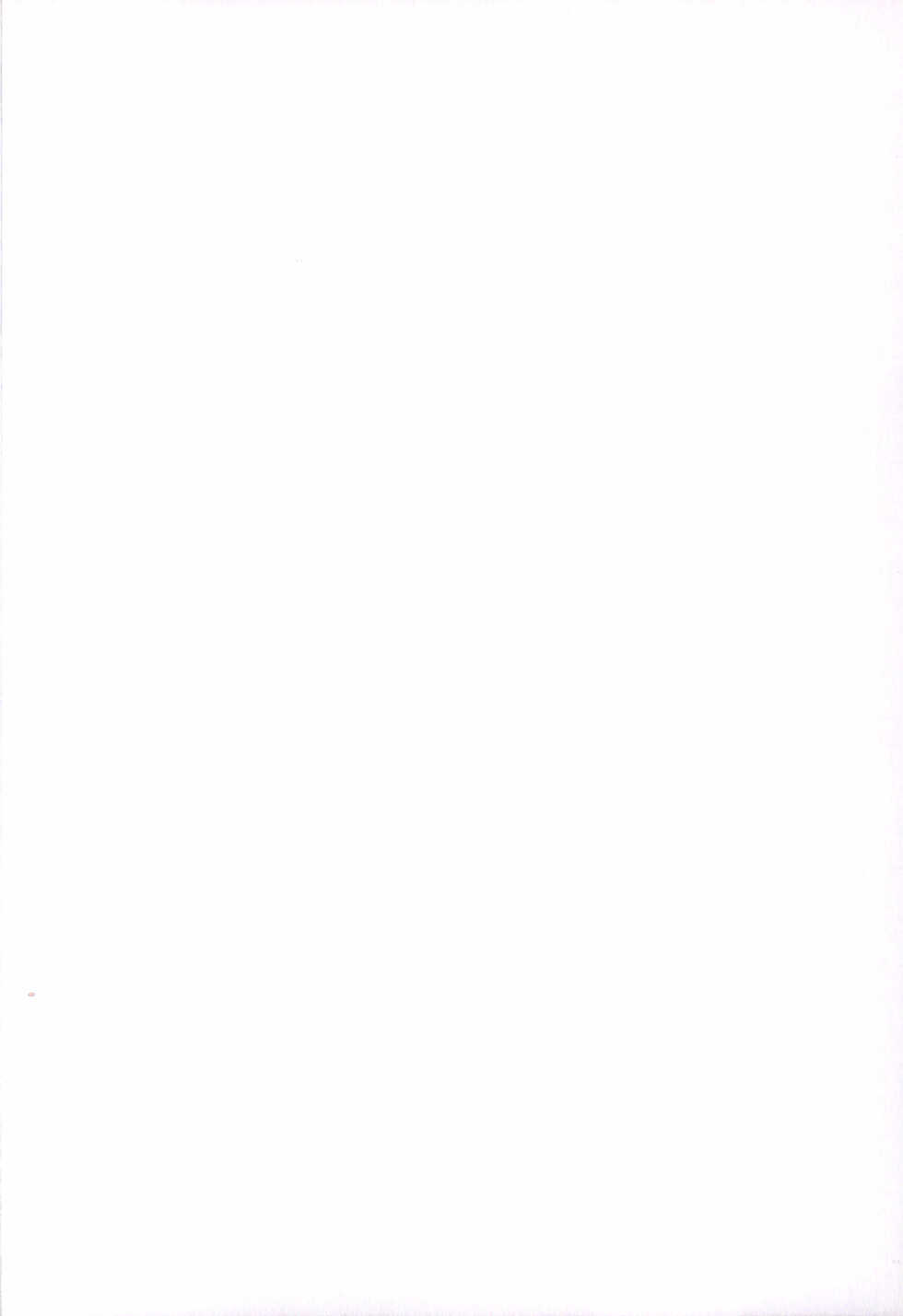 (HARUCC19) [CassiS (RIOKO)] RE:LIGHT (Final Fantasy XIII) - Page 2