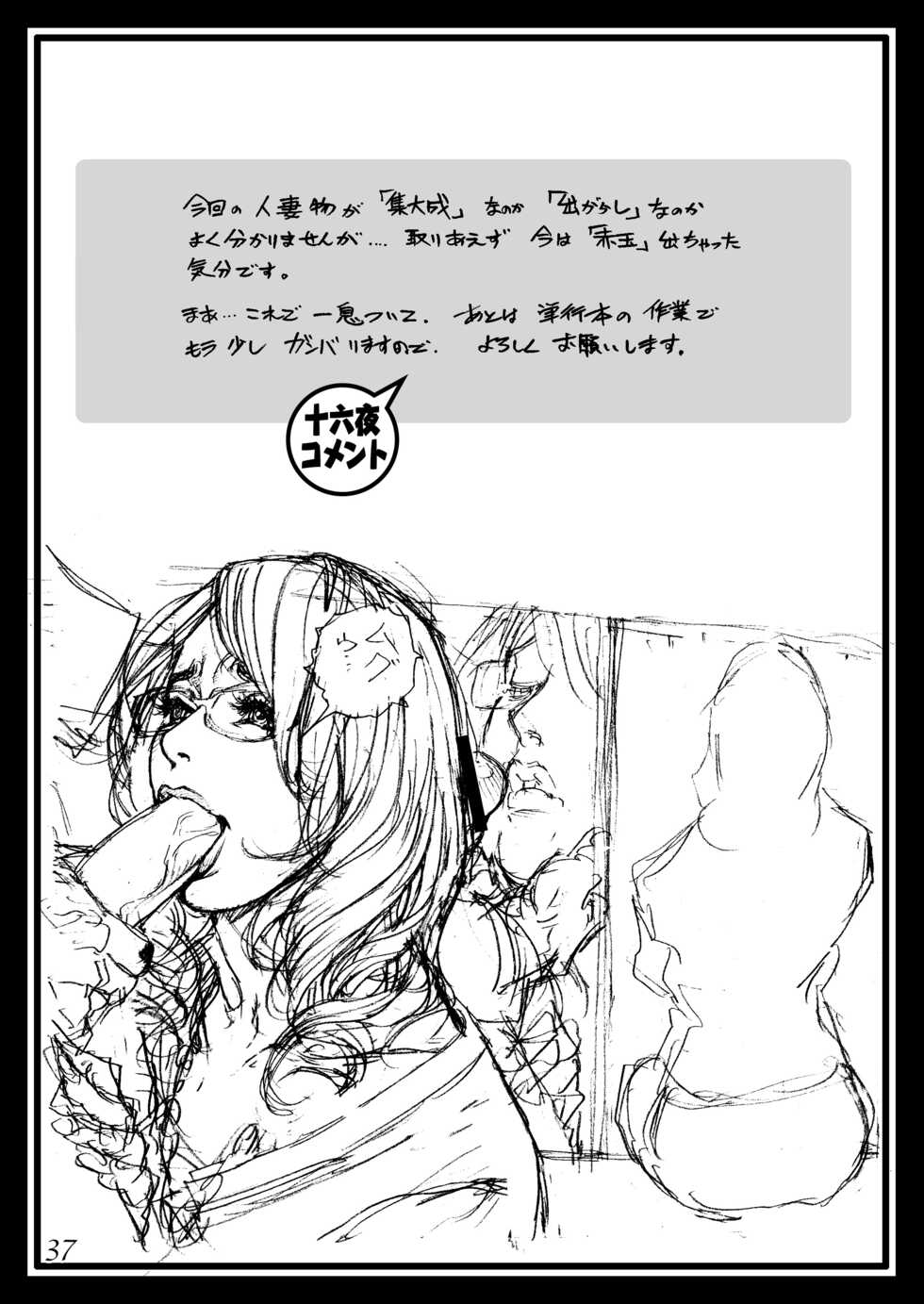 [Dennou Yamasakigumi (Izayoi Seishin)] Izayoi Seishin 100% Rough Gajuu Rough Gashuu in Boshi W Soukan 4 [Digital] - Page 37