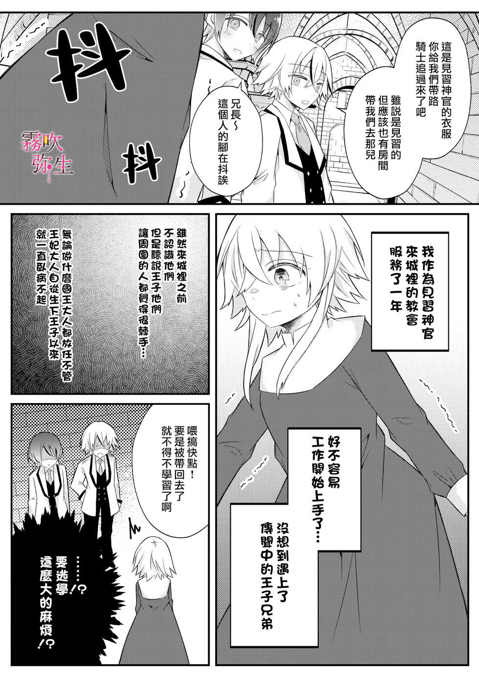 [Hato Pea (Hatori Hato)] Dekiai Kei Yandere Kyoudai Ouji wa Itoshi no Shinkan Mazoku Ochi Sasetai | 溺愛係病嬌王子兄弟想讓心愛的神官墮落成魔族 [Chinese] [霧吹弥生汉化组] - Page 9
