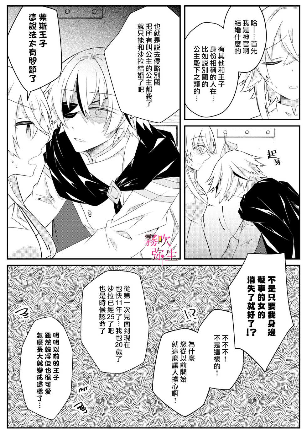 [Hato Pea (Hatori Hato)] Dekiai Kei Yandere Kyoudai Ouji wa Itoshi no Shinkan Mazoku Ochi Sasetai | 溺愛係病嬌王子兄弟想讓心愛的神官墮落成魔族 [Chinese] [霧吹弥生汉化组] - Page 13