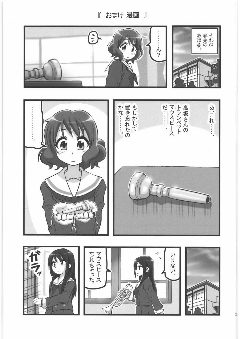 (C83) [Aairu Daitoutaku Z (Aairu Mike IX)] Rape Phonium (Hibike! Euphonium) - Page 16