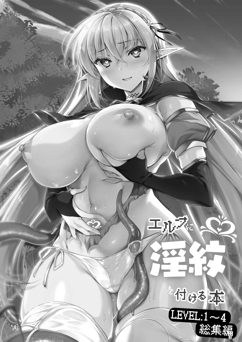 [Ninokoya (Ninoko)] Elf ni Inmon o Tsukeru Hon LEVEL:1~4 Soushuuhen [Digital] - Page 3