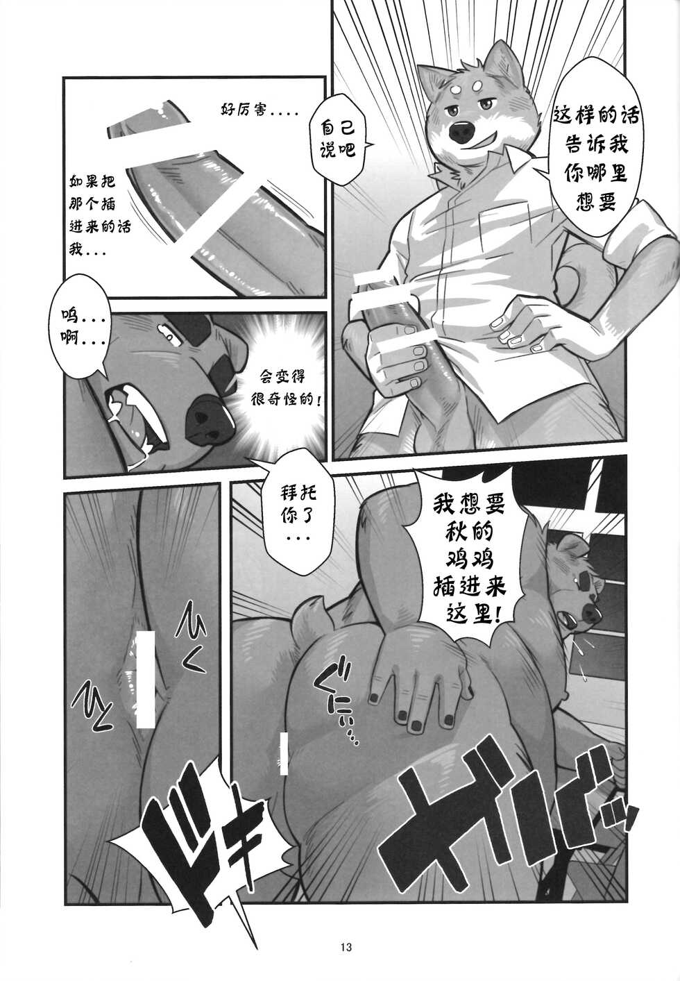 (Kansai! Kemoket 5) [Yuutopia (Oaks)] Shunka Shutoh [Chinese] [日曜日汉化] - Page 12