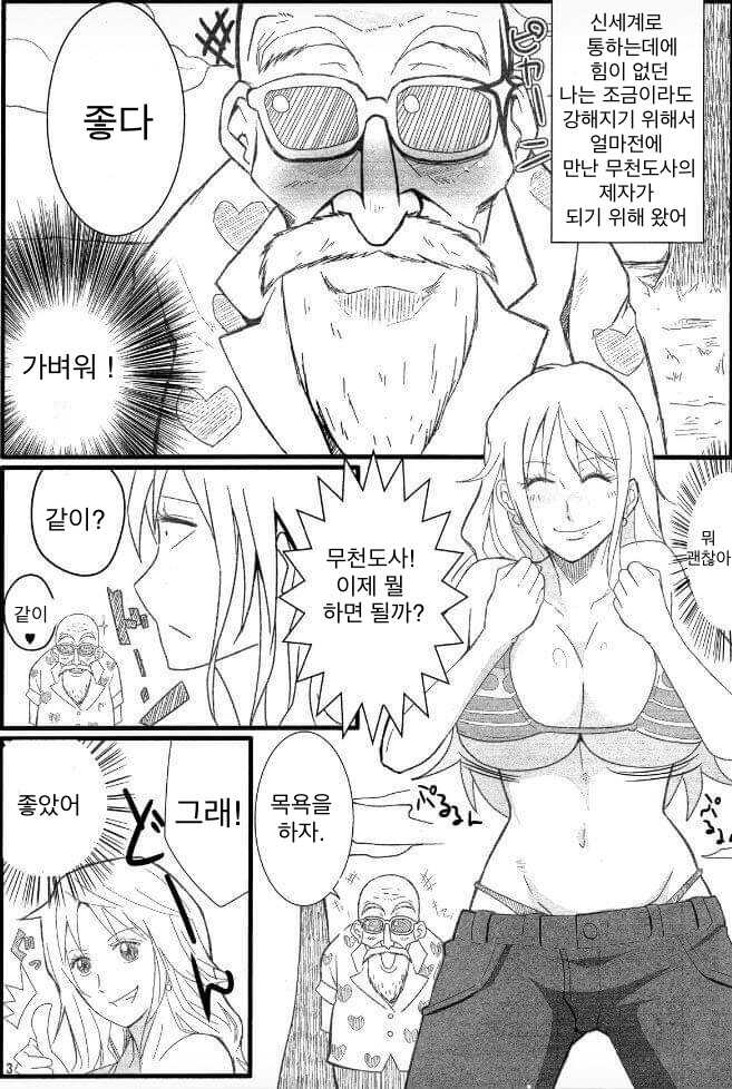 (C84) [Kairanban (Emine Kendama)] Benten Kairaku 24 Nami Nori Kame (One Piece, Dragon Ball) [Korean] - Page 2