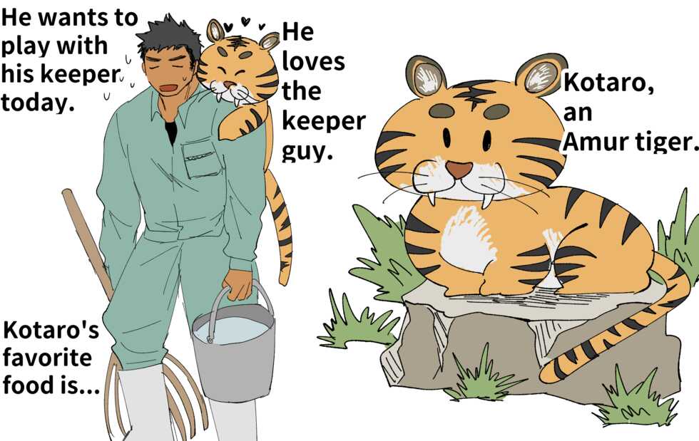 [Suikanotane (Hashikure Tarou)] A tiger and its keeper - Page 2