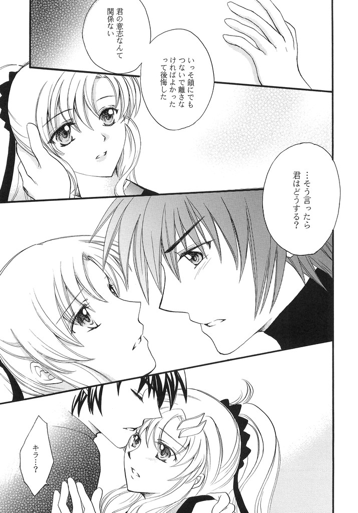 (C70) [LOVE ME DO (Imidas Nakamura, Satou Chiezou)] When You Wish Upon A Star (Kidou Senshi Gundam SEED) - Page 6