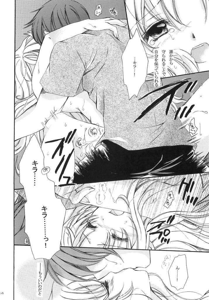 (C70) [LOVE ME DO (Imidas Nakamura, Satou Chiezou)] When You Wish Upon A Star (Kidou Senshi Gundam SEED) - Page 23