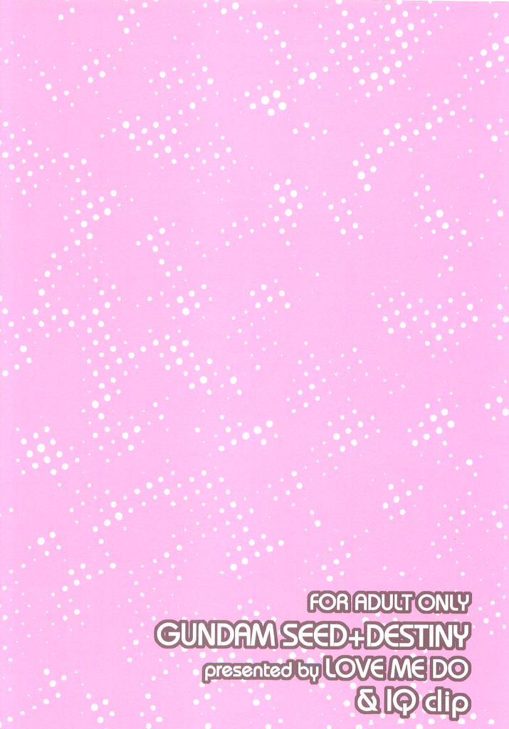 (C70) [LOVE ME DO (Imidas Nakamura, Satou Chiezou)] When You Wish Upon A Star (Kidou Senshi Gundam SEED) - Page 30