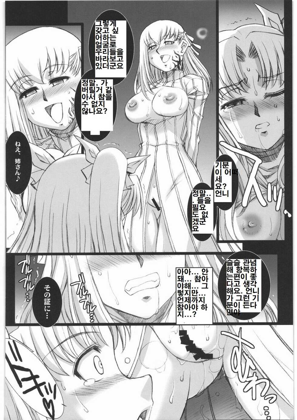 (COMIC1☆2) [H.B (B-RIVER)] Red Degeneration -DAY/3- (Fate/stay night) [Korean] - Page 16