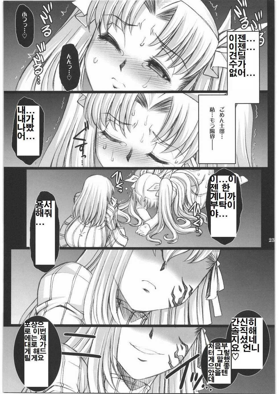 (C75) [H.B (B-RIVER)] Red Degeneration -DAY/4- (Fate/stay night) [Korean] - Page 17