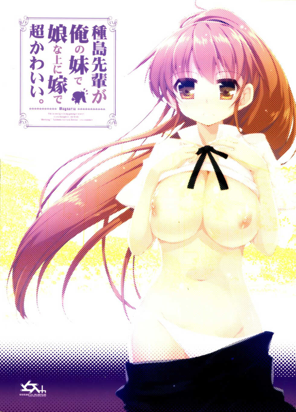 (C78) [65535th Avenue. (Akahito)] Taneshima-Senpai ga Ore no Imouto de Musume na Ue ni Yome de Chou Kawaii. | 种岛前辈她不仅是妹妹兼女儿还是老婆!超可爱. (WORKING!!) [Chinese] [一只麻利的鸽子汉化x甜族星人出资] - Page 22