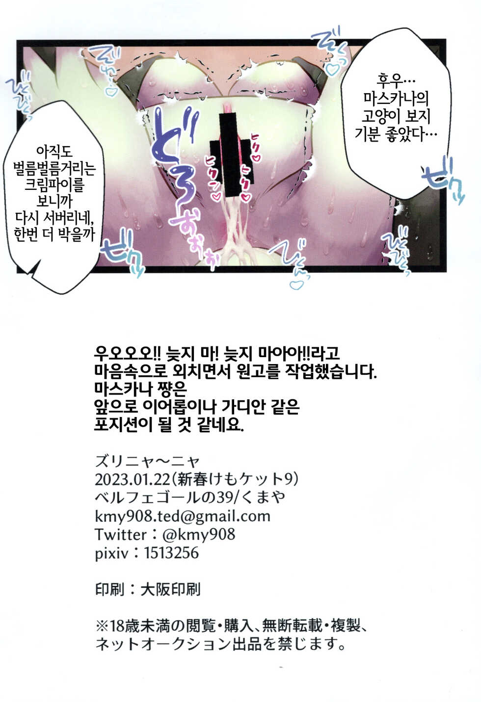 (Shinshun Kemoket 9) [Belphegor 39 (Kumaya)] Zuri Nyanya (Pokémon) [Korean] [LWND] - Page 11