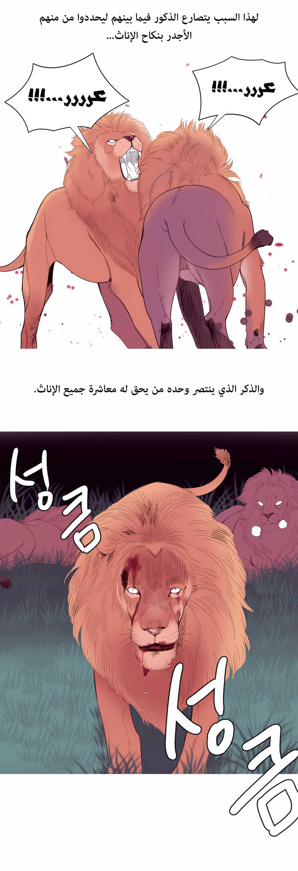 [Tankguy, ROZER] A World That I Rule | عالمٌ أحكمه أنا Ch.01-30 [Arabic] [Lolicore-Subs] (Ongoing) - Page 171