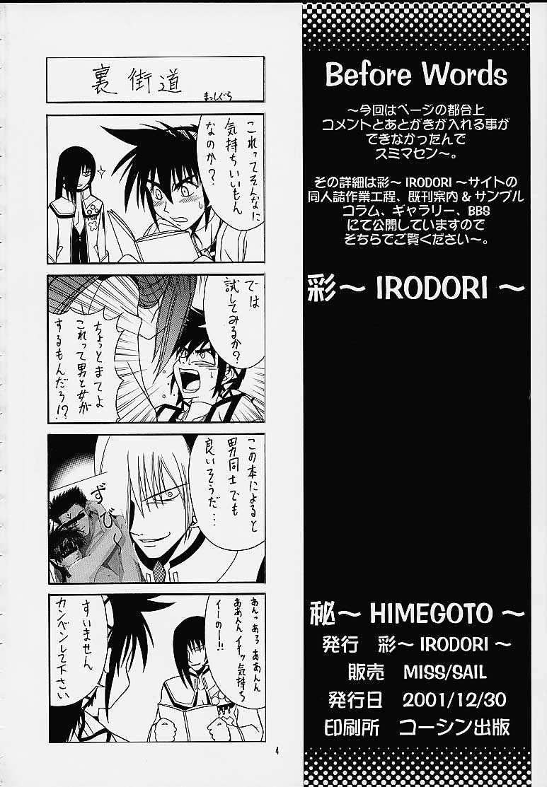 [IRODORI (SOYOSOYO)] Himegoto (Vandread) - Page 3