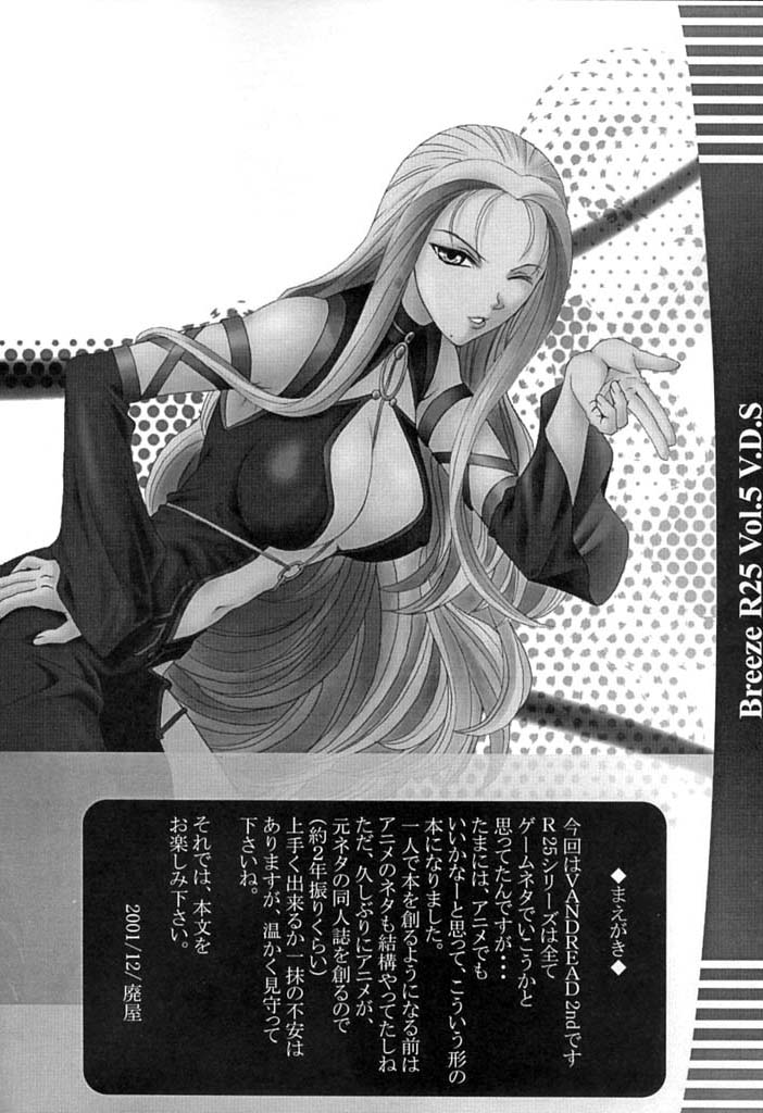 (C61) [BREEZE (Haioku)] R25 Vol.5 V.D.S (Vandread) - Page 3