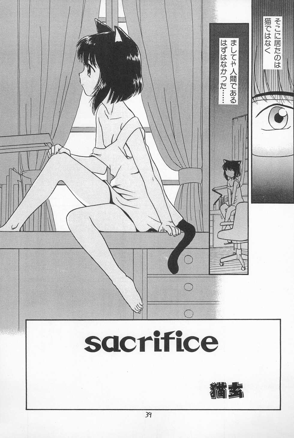 (C53) [PROJECT TAKE4 (Nekogen)] Daihinmin - Page 39