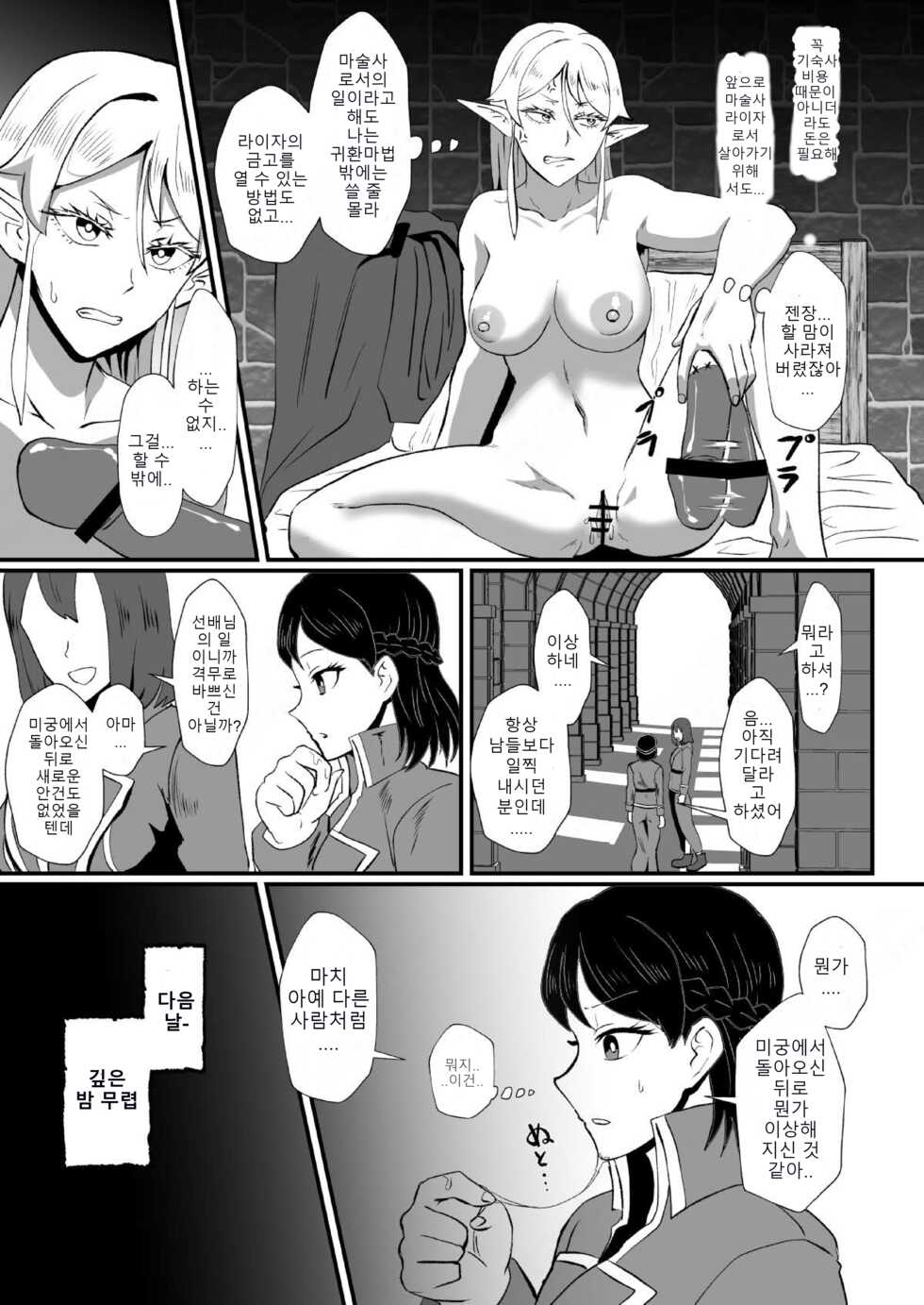 [Hotel Shikinseki (Plot Hotel)] Irekawari no Wana ~Elf Majutsushi Liza no Kikan~ [Korean] [Digital] - Page 18