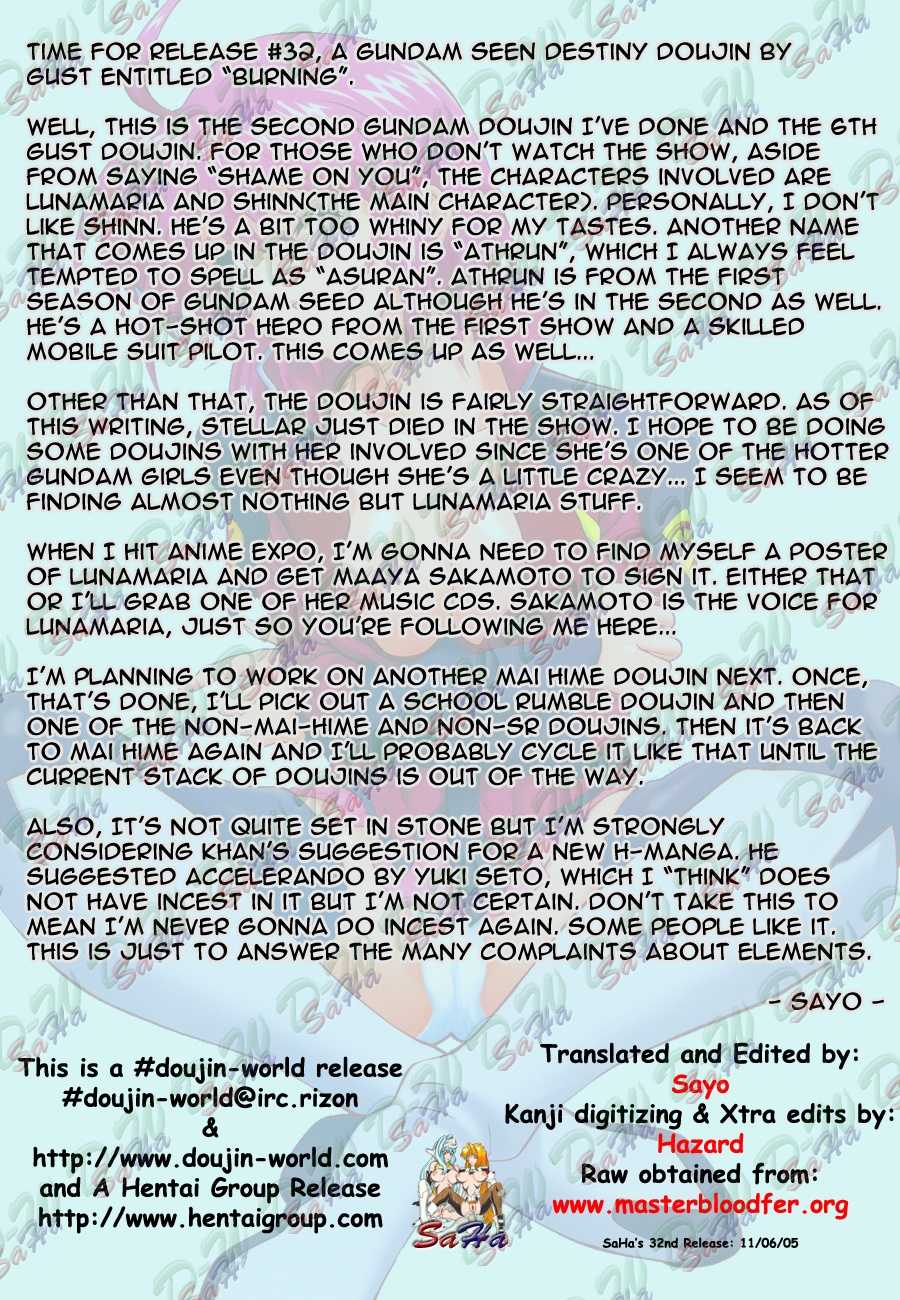(C67) [GUST (Harukaze Soyogu)] BURNING!! (Mobile Suit Gundam Seed Destiny) [English] [SaHa] - Page 2