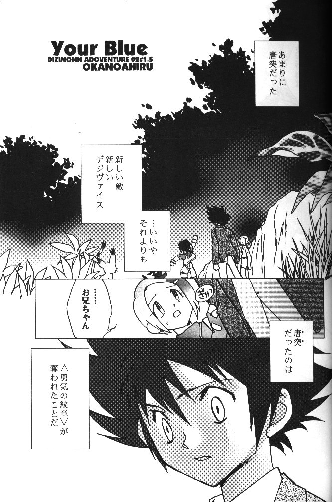[RIROLAND (Kuuya, Satomi Hiroyuki)] MY FAVOURITE (Digimon Adventure) - Page 17