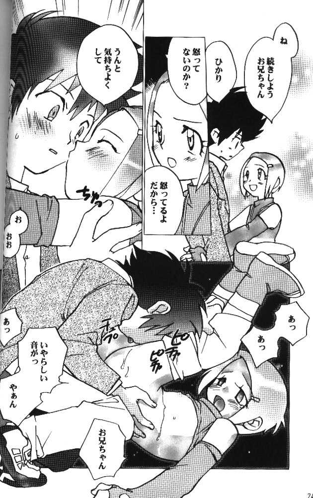 [RIROLAND (Kuuya, Satomi Hiroyuki)] MY FAVOURITE (Digimon Adventure) - Page 22