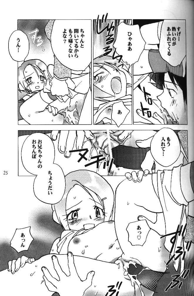 [RIROLAND (Kuuya, Satomi Hiroyuki)] MY FAVOURITE (Digimon Adventure) - Page 23