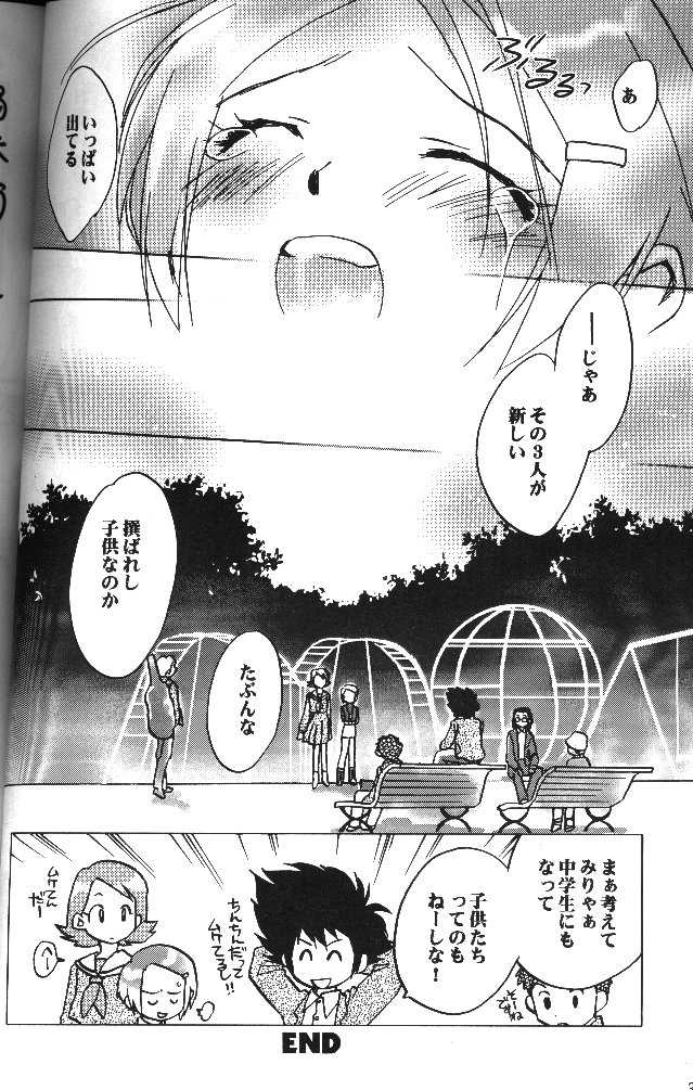[RIROLAND (Kuuya, Satomi Hiroyuki)] MY FAVOURITE (Digimon Adventure) - Page 28