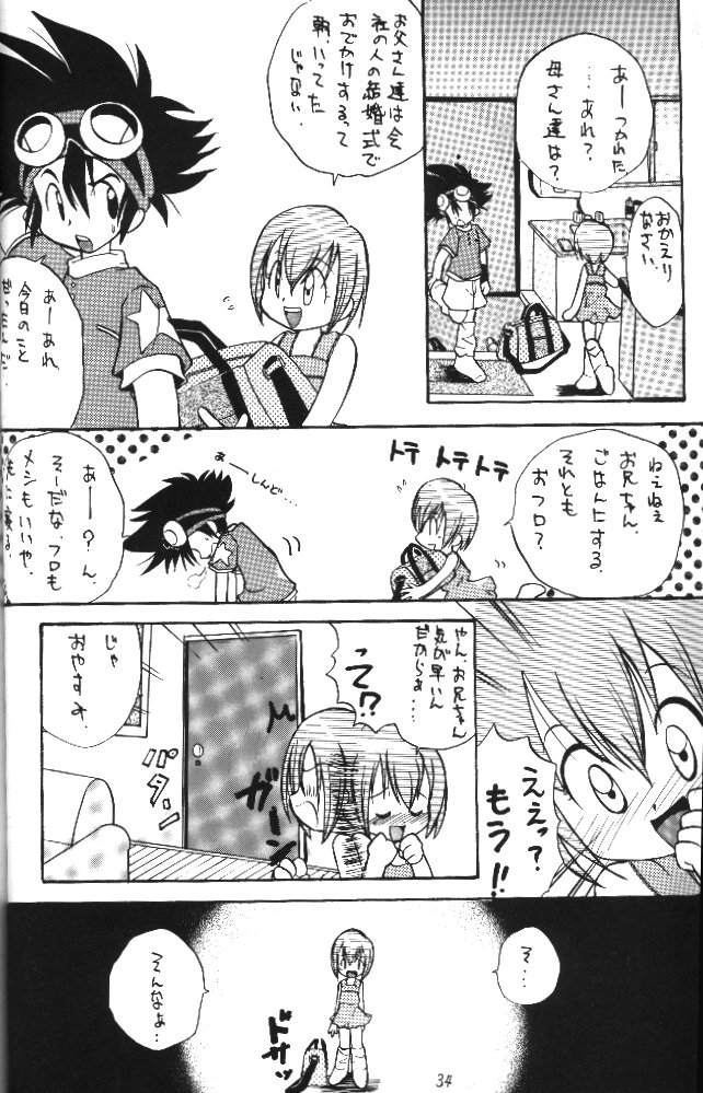 [RIROLAND (Kuuya, Satomi Hiroyuki)] MY FAVOURITE (Digimon Adventure) - Page 32