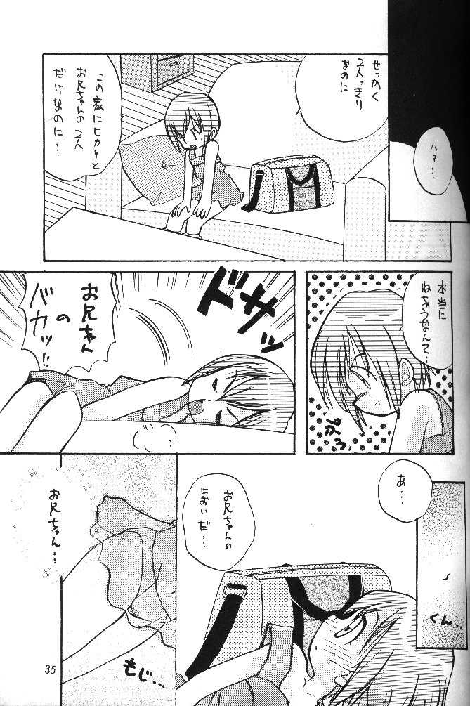 [RIROLAND (Kuuya, Satomi Hiroyuki)] MY FAVOURITE (Digimon Adventure) - Page 33