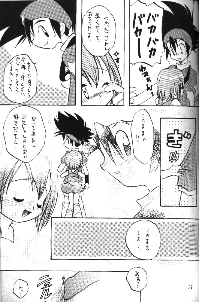 [RIROLAND (Kuuya, Satomi Hiroyuki)] MY FAVOURITE (Digimon Adventure) - Page 37