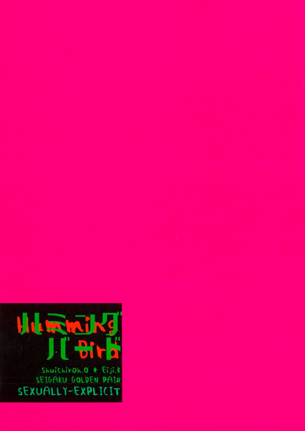 [HACCA (Hisato Takumi)] Hummingbird (Prince of Tennis) [Digital] - Page 27