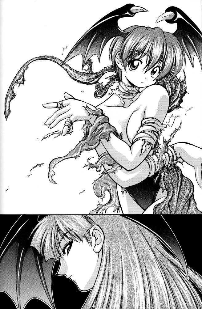 (C52) [RIROLAND (Kuuya, Satomi Hiroyuki)] Kiba to Tsubasa (Darkstalkers, Final Fantasy VII) - Page 3