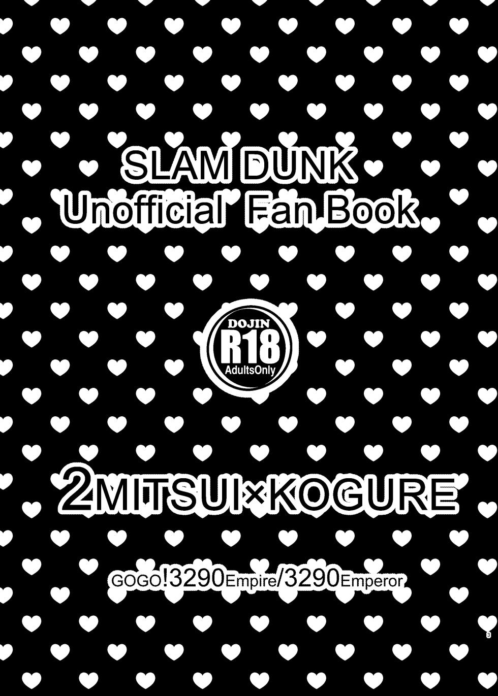 [GOGO! Mitsugure Teikoku (Teiou)] 3P! ~If he was a twin~ (Slam Dunk) [Digital] - Page 4