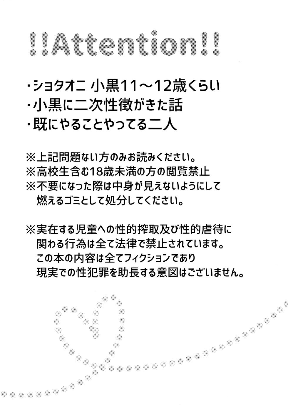 (Shotafes 12) [erunato (Sawa)] XX Dekinai Otoshigoro (The Legend of Hei) - Page 2
