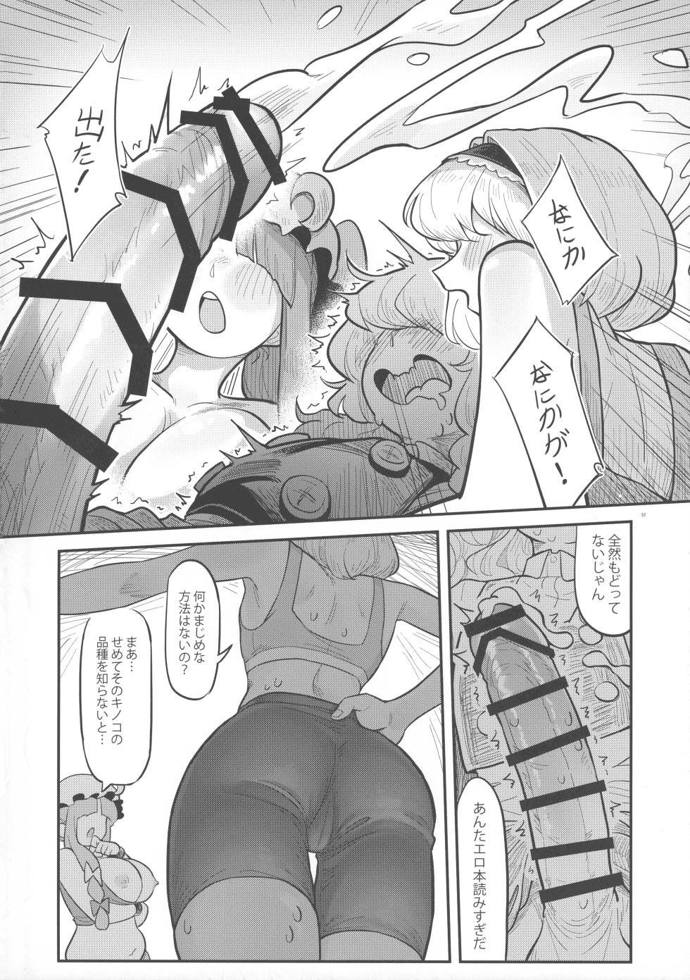 (Kouroumu 18) [Nuigurumiya-san (Various)] Touhou Ochinpo Haechatta Goudoushi (Touhou Project) - Page 31