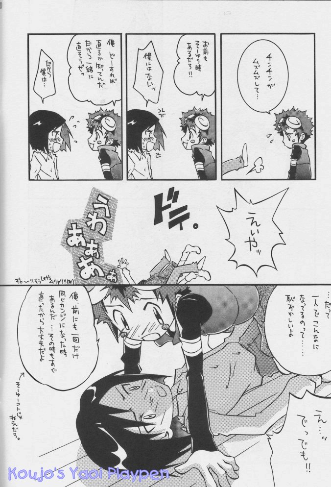 [Neko to Pistol (Kanno Tohko)] Akisu to Zeneko (Digimon Adventure 02) [Incomplete] - Page 6