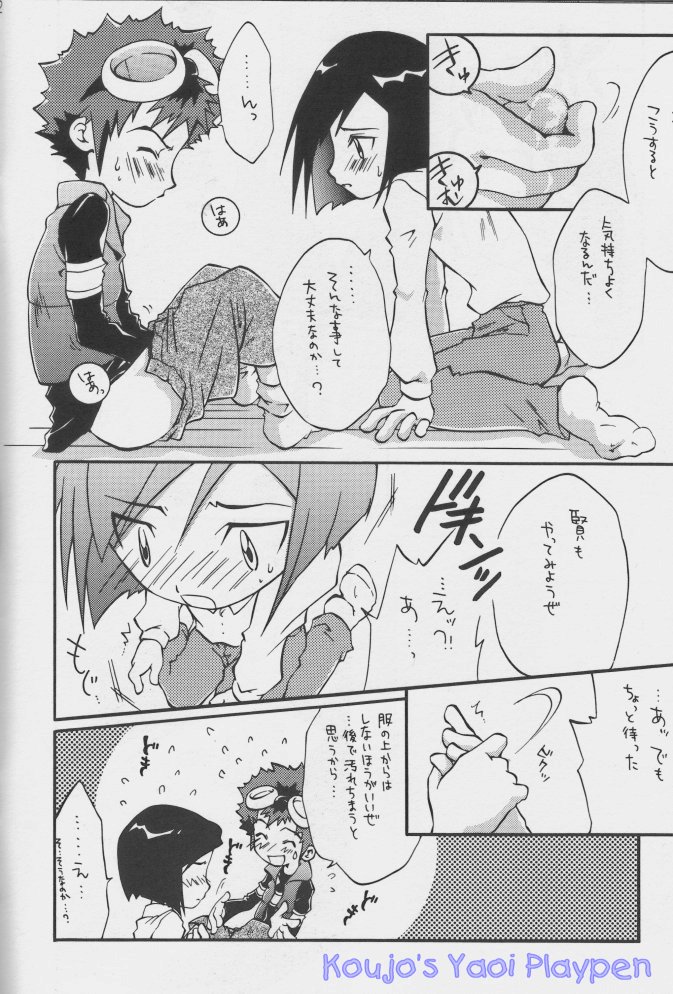 [Neko to Pistol (Kanno Tohko)] Akisu to Zeneko (Digimon Adventure 02) [Incomplete] - Page 8