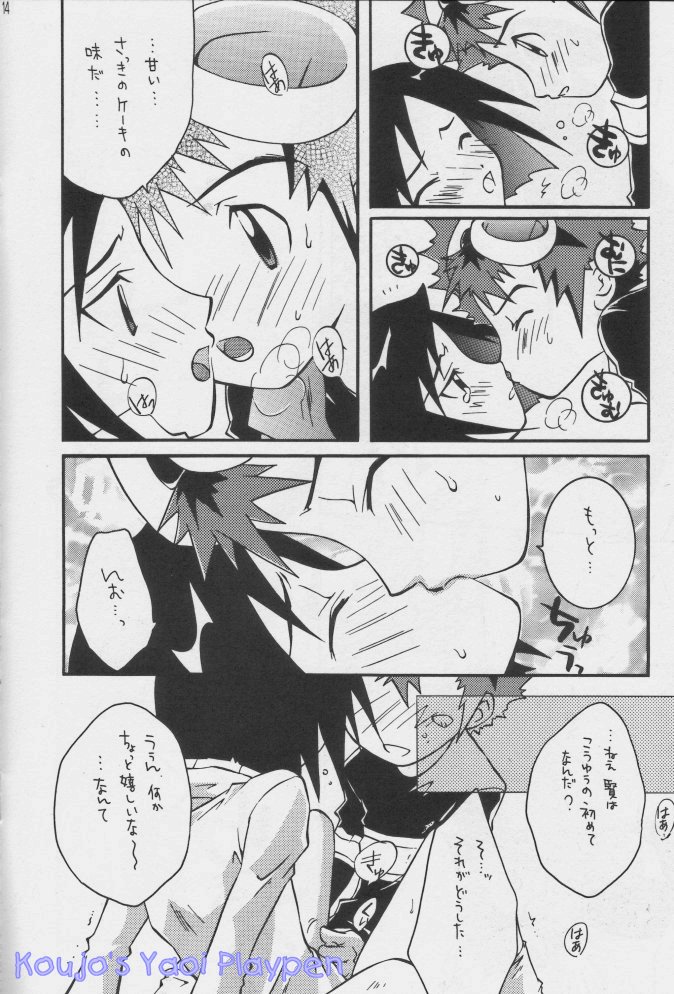 [Neko to Pistol (Kanno Tohko)] Akisu to Zeneko (Digimon Adventure 02) [Incomplete] - Page 10