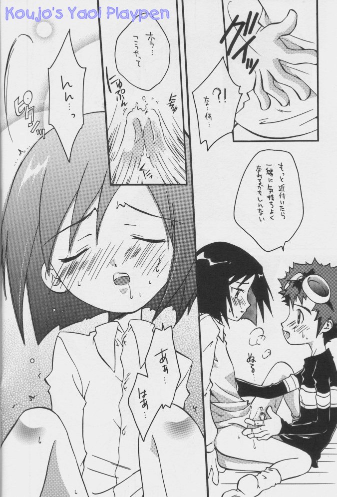 [Neko to Pistol (Kanno Tohko)] Akisu to Zeneko (Digimon Adventure 02) [Incomplete] - Page 12