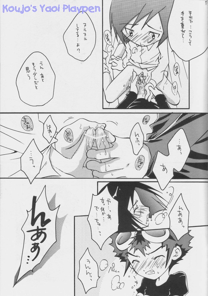 [Neko to Pistol (Kanno Tohko)] Akisu to Zeneko (Digimon Adventure 02) [Incomplete] - Page 13