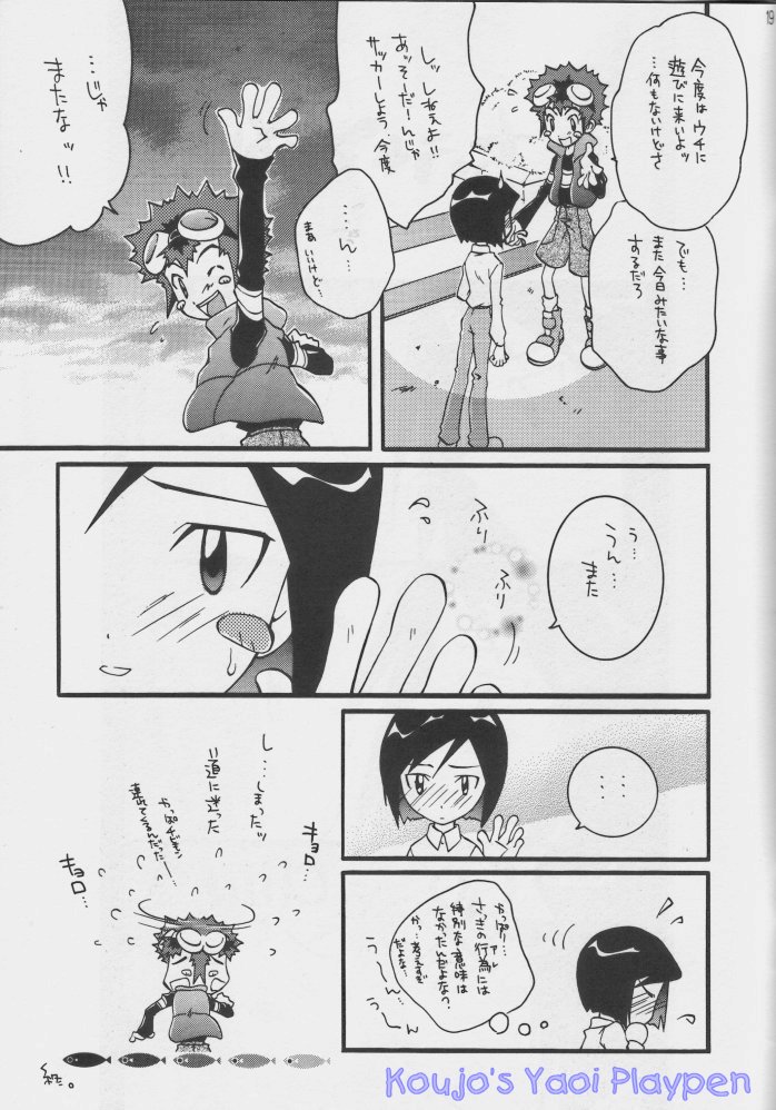 [Neko to Pistol (Kanno Tohko)] Akisu to Zeneko (Digimon Adventure 02) [Incomplete] - Page 15