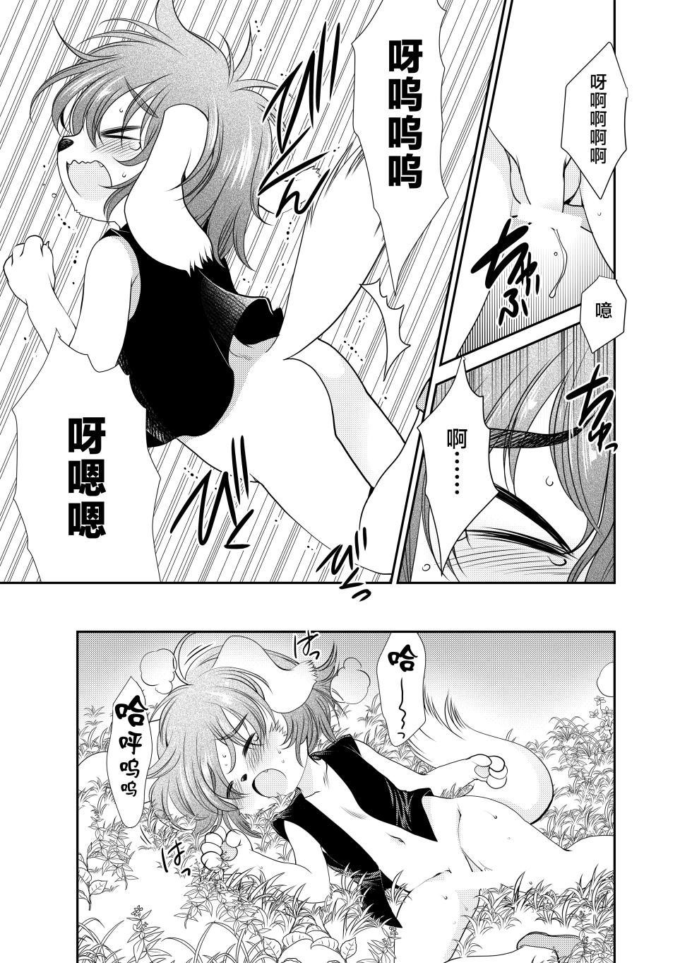 (C90) [Inishie no Nushi (Silhouette Sakura)] Wanko to Kinoko [Chinese] [悬赏大厅×真不可视汉化组] - Page 11