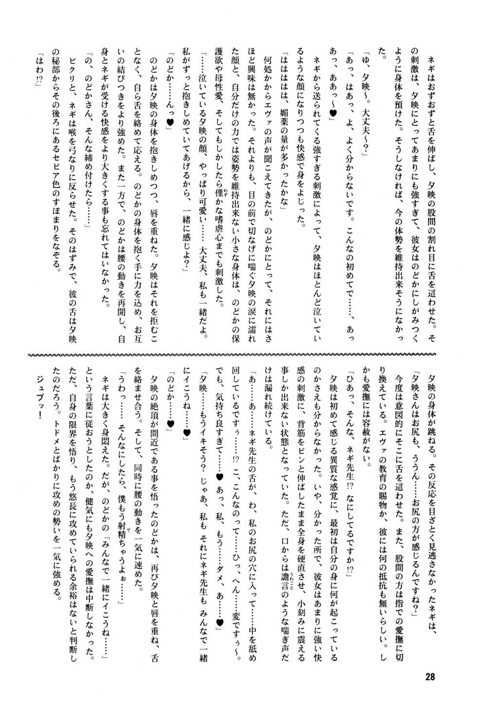 [E-10 Firudo] Dark Side Ichi Hajimete no Sei Majutsu Hen (Mahou Sensei Negima!) - Page 27